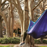 Why study inside when February brings warm enough weather to hang a hammock and study between the trees?