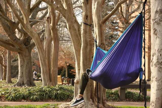 Why study inside when February brings warm enough weather to hang a hammock and study between the trees?