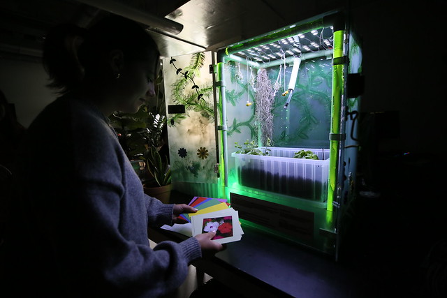 An undergraduate student team develops MindBot, a semi-autonomous countertop greenhouse expressly designed for those living with dementia.