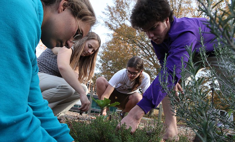 Students planting in the campus garden