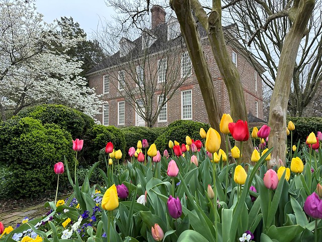 The President's House garden is brimming in spring colors this year.