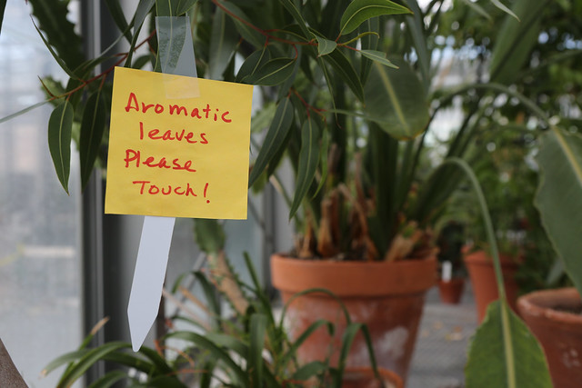 The biology department's greenhouse tour offered a diverse selection of plants during Family Weekend.